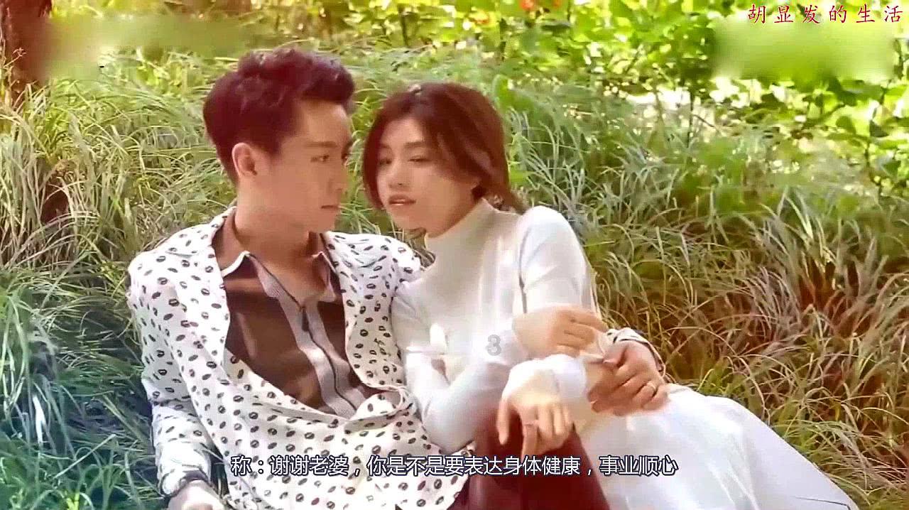 饥饿的哈利